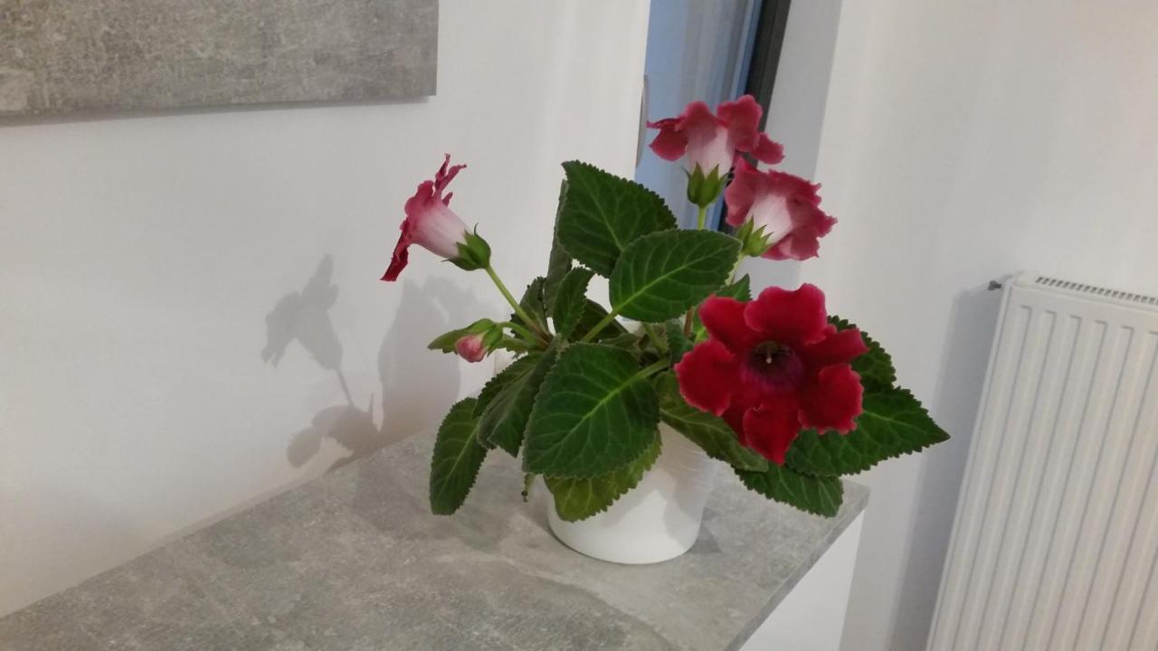 Eapartment Bukarest Kültér fotó